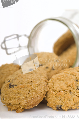 Image of Delicious oatmeal raisin cookies