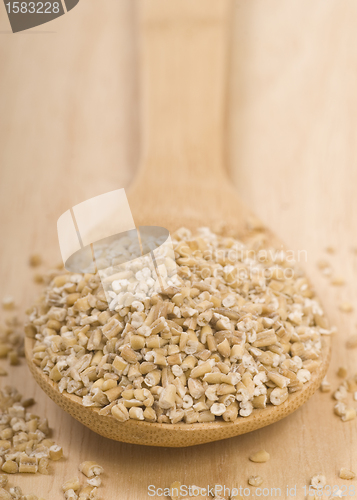 Image of Steel cut oats on a wooden spoon