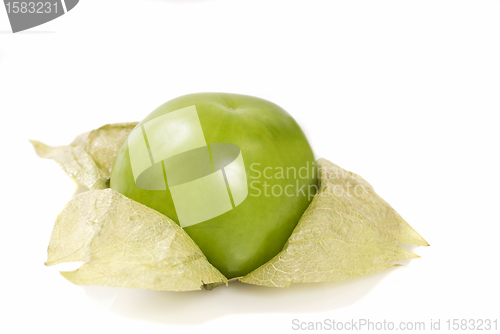 Image of Fresh tomatillos