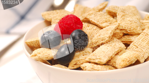 Image of Wheat cereal with blueberries and raspberry