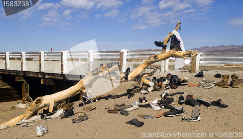 Image of Famous Shoe Tree in Amboy, California