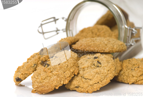 Image of Delicious oatmeal raisin cookies