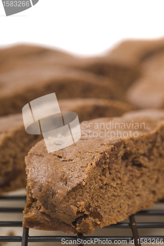 Image of Chocolate Biscotti