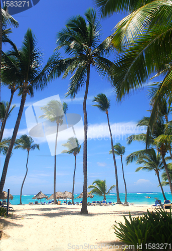 Image of Beach scene in the Dominican Republic