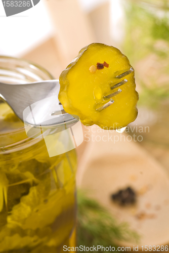 Image of Preserving pickles with dill and peppercorns