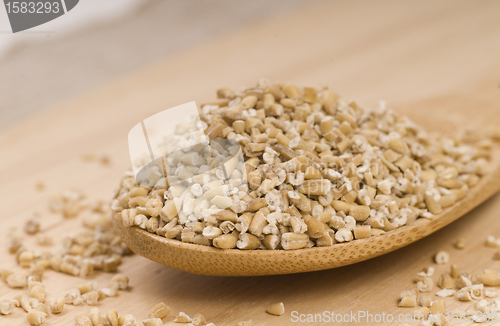 Image of Steel cut oats on a wooden spoon