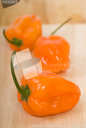 Image of Fresh Habanero peppers