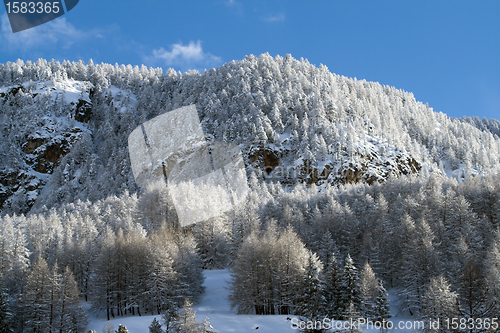 Image of Winter in Pragelato