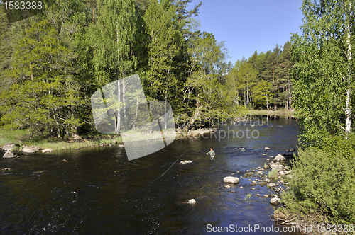 Image of Fishing in river