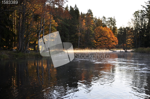 Image of Calm lake reflection