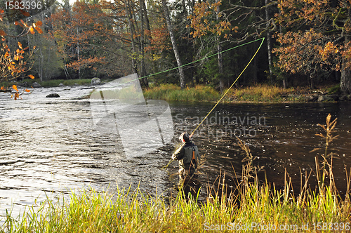 Image of Fishing in river