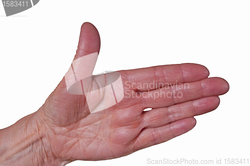 Image of shake hand