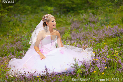 Image of Beautiful bride is sitting in the forest