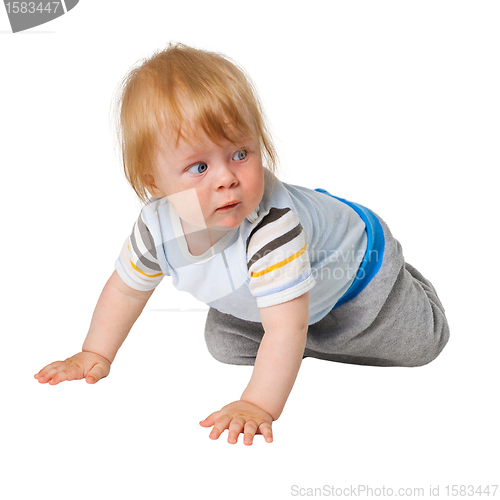 Image of Little boy crawling on white