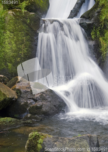 Image of detail of the Triberg Waterfalls