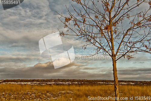 Image of Saskatchewan Landscape