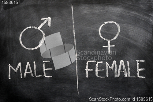 Image of Male and female signs