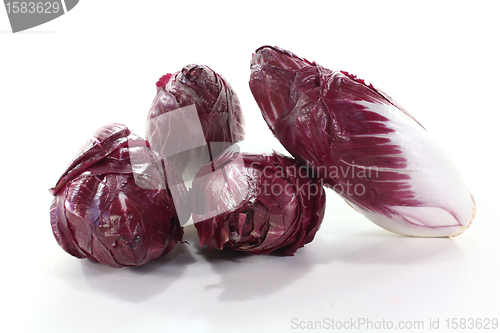 Image of red chicory