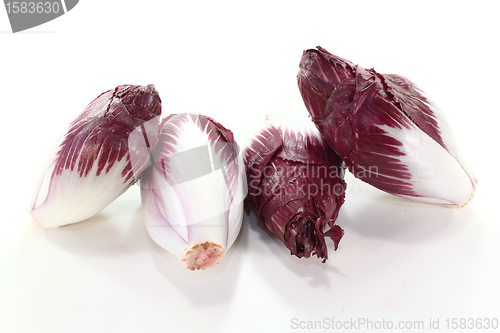 Image of chicory