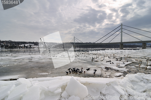 Image of Ice on river