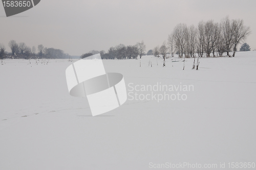 Image of Winter landscape