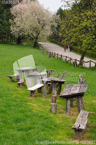 Image of Wooden benches in park