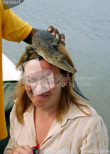 Image of Baby Crocodile on the Woman's Head