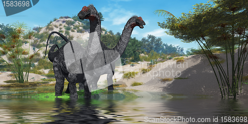 Image of Apatasaurus 02