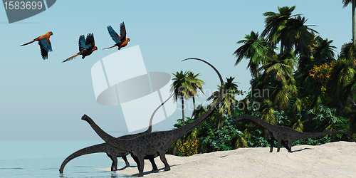 Image of Diplodocus 02