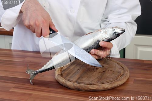 Image of Chef and fish