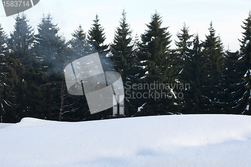 Image of Smoking chimney of the cottage in the woods