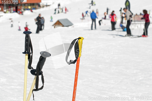 Image of Ski poles