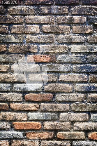 Image of Old brick wall texture