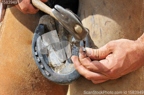 Image of farrier