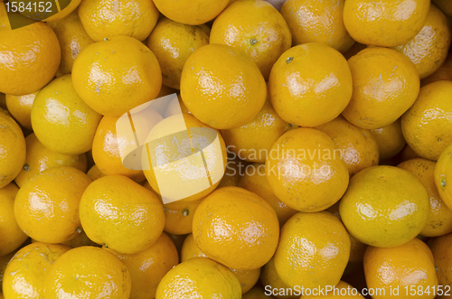 Image of Ponkan Oranges
