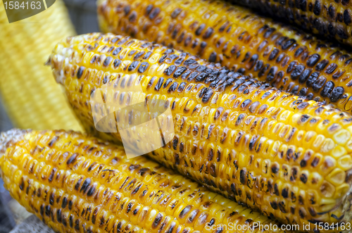 Image of Corn Cob