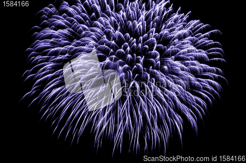 Image of Firework