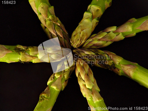 Image of Asparagus Heads