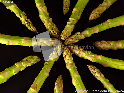 Image of Asparagus Converging