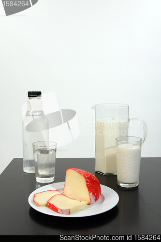 Image of milk, water and cheese, tasty and healthy food