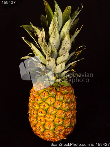 Image of Pineapple on Black