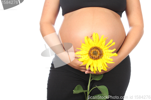 Image of pregnant woman with beautiful belly and sunflower