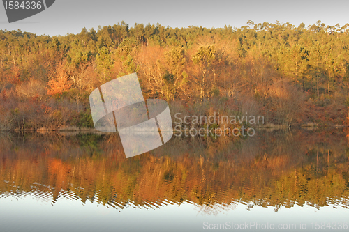 Image of beautiful autumn landscape with river and reflex, Portugal