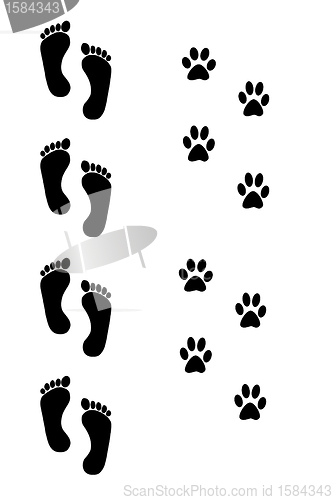 Image of dog and human footprints over white background