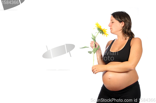 Image of pregnant woman with beautiful belly and sunflower