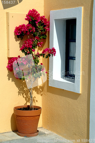 Image of greece island flower pot