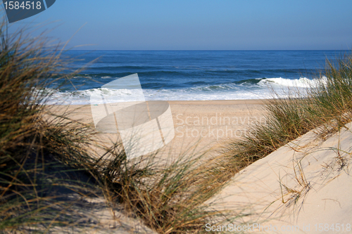 Image of white sand on the beach with dunes in summertime