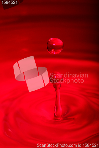 Image of transparent drops of water, nice beautiful background photo