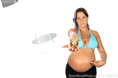 Image of beautiful young pregnant woman holding a pig moneybox