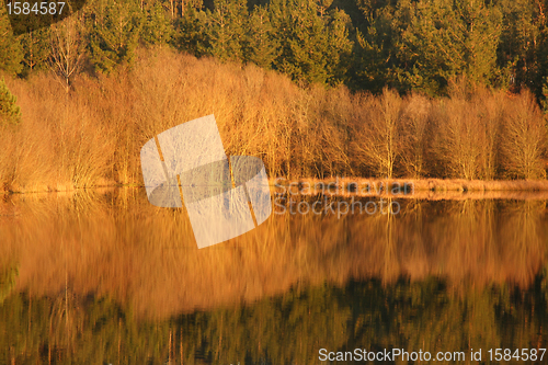 Image of beautiful autumn landscape with river and reflex, Portugal